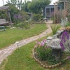 Photo 8: South-facing front garden with swing chair