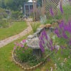 Photo 9: Front garden with Summerhouse & outdoor patio/eating area