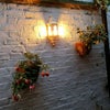 Photo 2: Garden