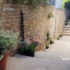 Photo 8: Steps down to entrance