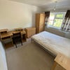 Photo 6: bedroom 2