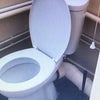 Photo 4: Grd Fl Toilet