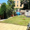 Photo 8: Back garden