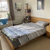 Photo 4: Bedroom One
