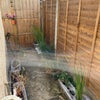 Photo 8: Back garden