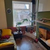 Photo 3: Shared living room