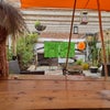 Photo 4: View from the table