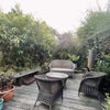 Photo 7: Garden
