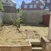 Photo 6: Back Garden