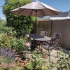 Photo 8: Garden