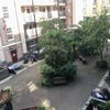 Photo 9: Internal garden