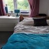 Photo 5: room 7