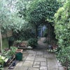 Photo 8: Garden with shed and working room at the end
