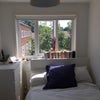 Photo 3: bedroom (south facing window)