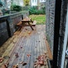 Photo 9: Rear Garden