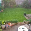 Photo 9: Garden or Patio
