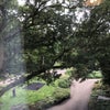 Photo 2: Balcony view of St Martins Garden