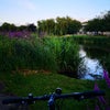 Photo 7: Like to go on cycling occasionally. However, I do not own a bicycle.