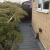 Photo 6: Garden or Patio