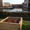 Photo 8: Allotments 