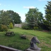 Photo 8: Back garden