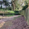 Photo 8: Garden area welcome to share