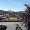 Photo 7: View from the front door