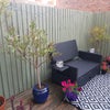 Photo 9: Garden