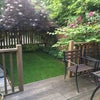 Photo 9: Garden
