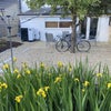 Photo 5: Pretty and peaceful garden
