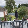 Photo 2: Back garden