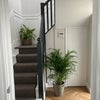 Photo 3: Stairs 