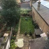 Photo 6: Garden