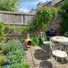 Photo 8: Back patio