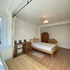Photo 3: Large bright double