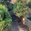 Photo 6: Private garden