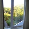 Photo 5: Garden