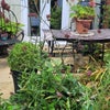 Photo 8: Your patio doorrs 