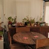 Photo 8: Conservatory
