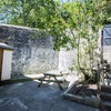 Photo 8: Rear Yard