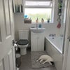 Photo 3: Upstairs bathroom & Toni