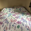Photo 9: Bedroom 