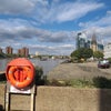 Photo 7: Low tide from just outside back gate