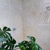 Photo 9: Wetroom