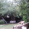 Photo 7: Garden