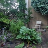 Photo 3: Garden