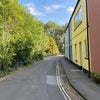 Photo 4: street view