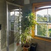 Photo 9: Bathroom