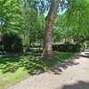 Photo 4: Garden