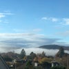 Photo 5: View from spare room 